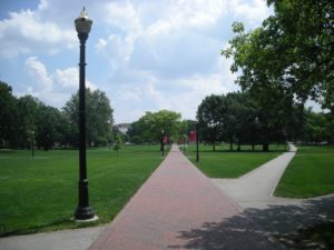The Oval on the Ohio State campus where we provide Ohoi State university chairs