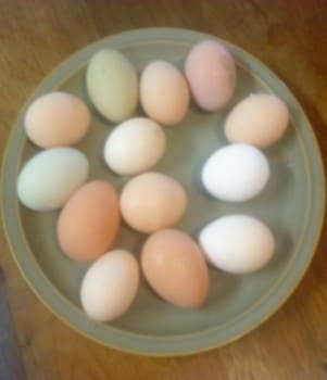 A ceramic plate full of country eggs in Amish country of Ohio where we build Amish Chairs