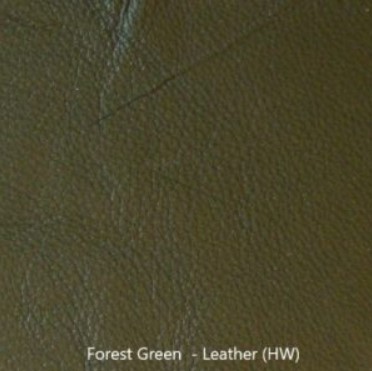 Forest Green Leather sample