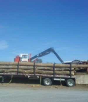 Truck at sawmill in Walnut Creek, Ohio, loading maple logs onto a truck 