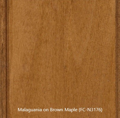 Malaguania on Brown Maple