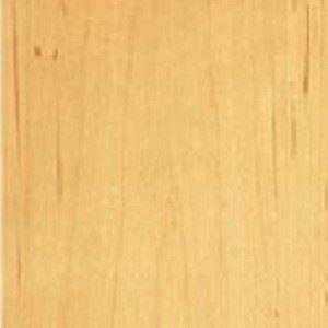 Wood Sample Maple