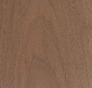 Wood Sample of Walnut