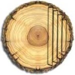 Example wood sample oak cut traditionally
